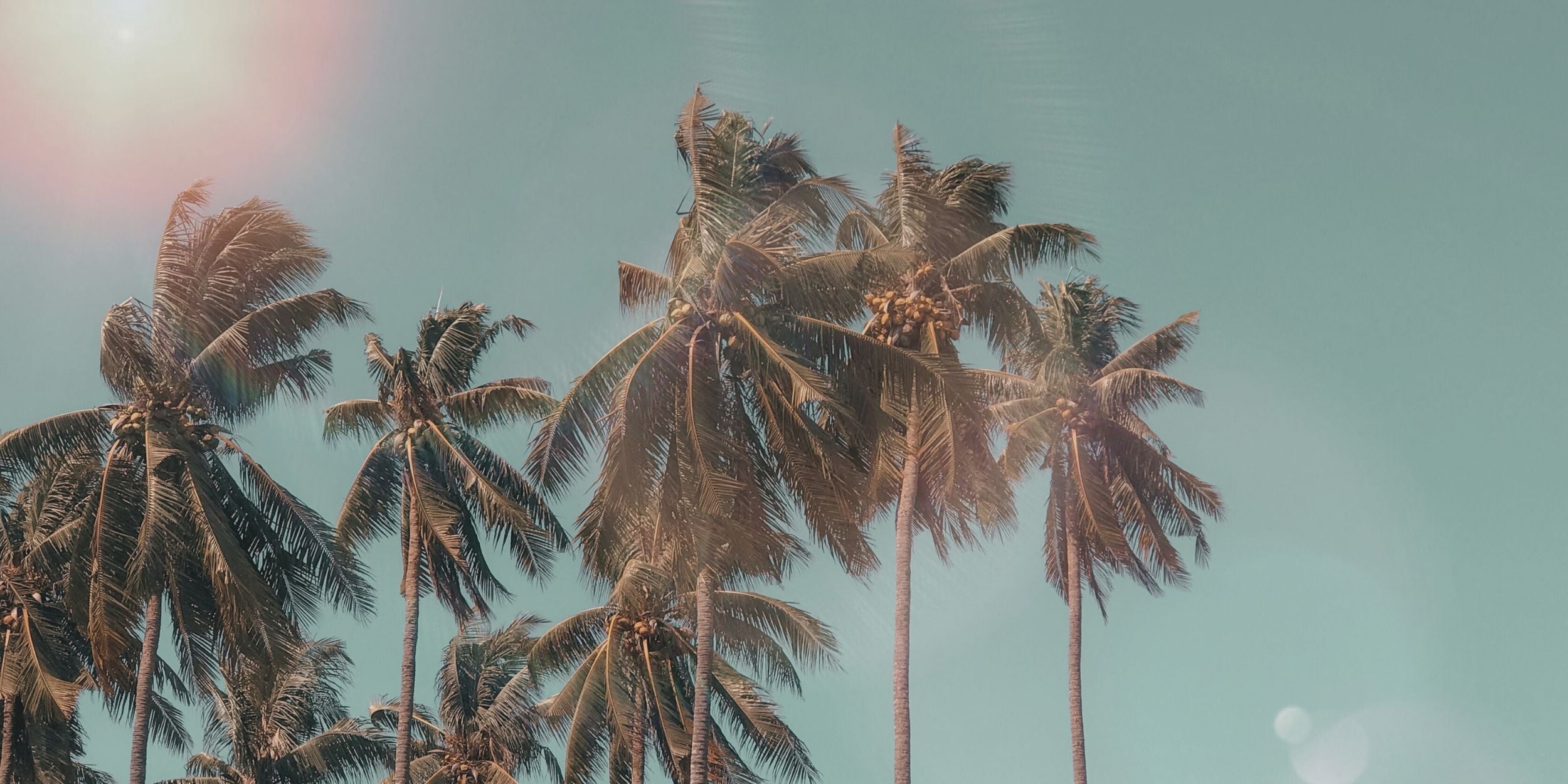 Verão